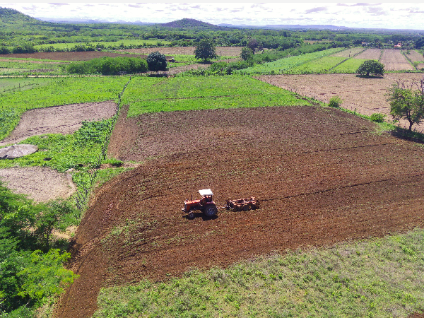 Prefeitura de Ipaporanga beneficia centenas de agricultores com programa gratuito de aração de terras e destoca